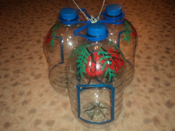 Articles made of plastic bottles for the garden: ornament to suburban area and other articles, videos, photos