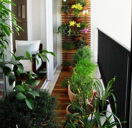 Winter garden is able to give a balcony of comfort and comfort