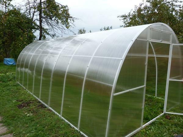 Greenhouses made of cellular polycarbonate have a number of advantages