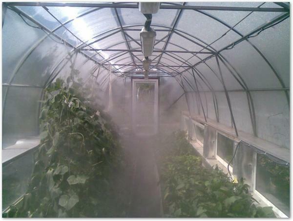 Fogger for greenhouses is a system that allows to regulate the microclimate inside