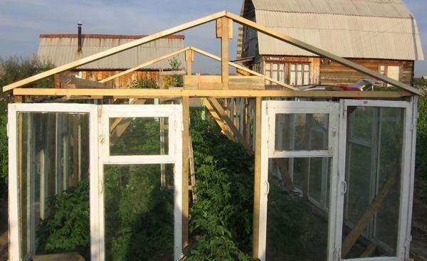 It is not difficult to erect a greenhouse from window frames, which even a beginner