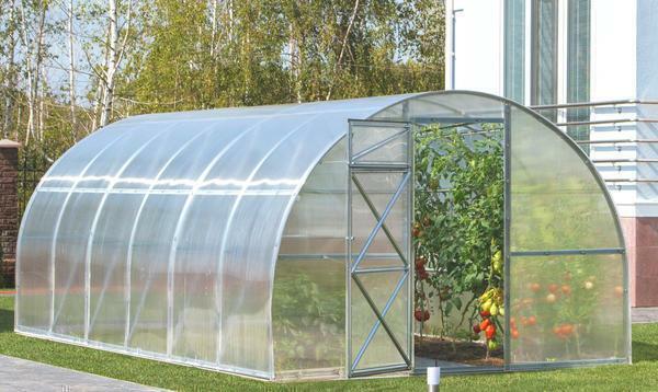 In the greenhouse "Dachnaya-Treška" for the first time a wide reinforced profile was used, which withstands large snow loads