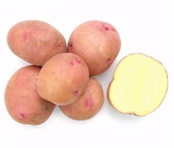 Varietà di patate Sotochka