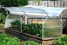 How-to-do-greenhouse-with-hands-Photo-instructions-project-10