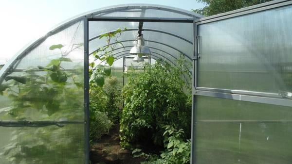 Arched greenhouse is versatile. This design can be used in the construction of collapsible seasonal greenhouses and as a capital structure