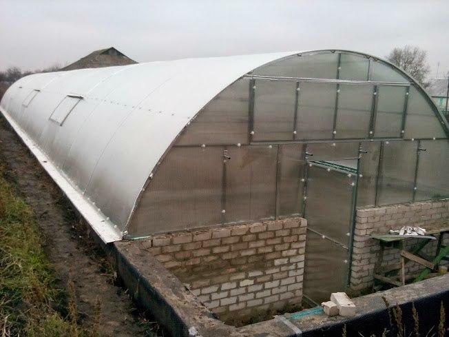 Greenhouse in the ground: underground and year-round for gardening by own hands, deepened without heating, winter