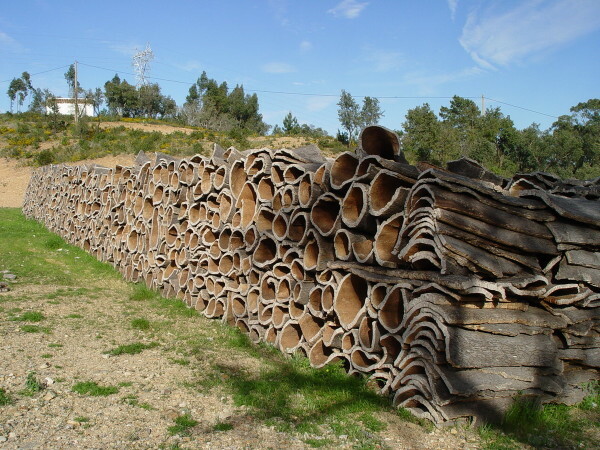 Here is the bark of cork oak - the raw material for the production of finishing materials