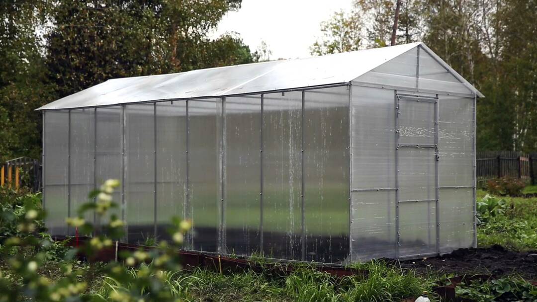 Polycarbonate greenhouse with own hands: how to make a greenhouse, video homemade and photo, making and how to build