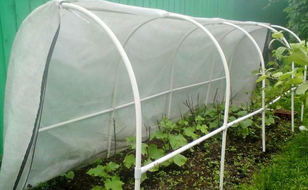 Arcs for a greenhouse can be made by own hands