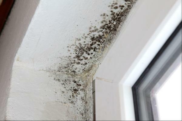 To permanently get rid of mold, you need to think over the ventilation system on the balcony