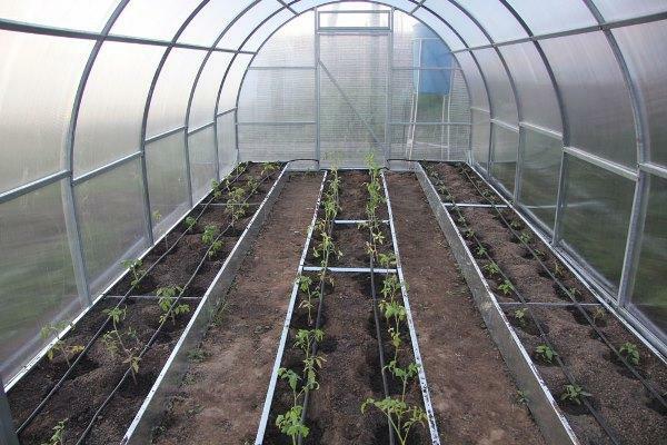 From the competent and accurate location and design of beds in the greenhouse depends largely on the success and correctness of growing vegetables