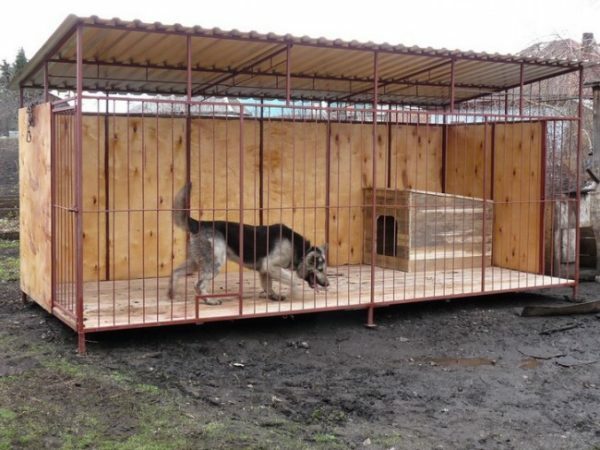 Aviary hat für einen Hund zu Hause sein, kein Gefängnis