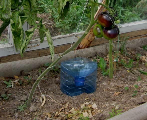 Existem várias maneiras de instalar uma irrigação por gotejamento usando garrafas