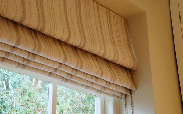 Good looking blinds from the whole canvas, which are lowered and raised using a special mechanism