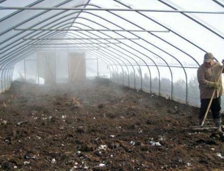 After carrying out the treatment of the greenhouse, the smoke bomb must be cleaned thoroughly