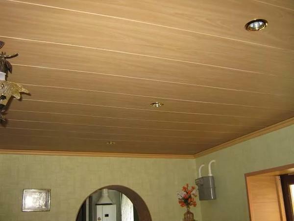 PVC - plastic panels have firmly entered our life. At present, they are lined with both walls and ceilings