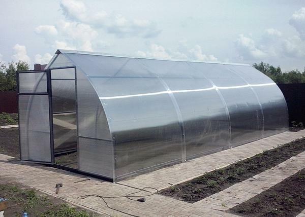 Greenhouse Kapelka, according to reviews of truck farmers, very strong and reliable