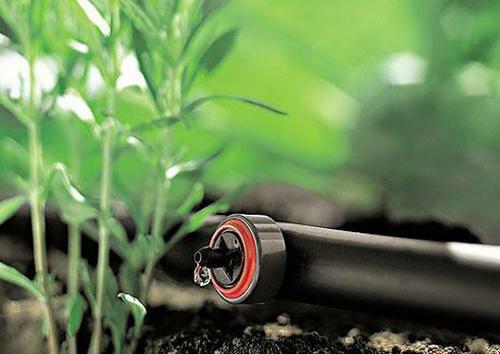 Automatic drip irrigation system reduces water consumption by almost three times