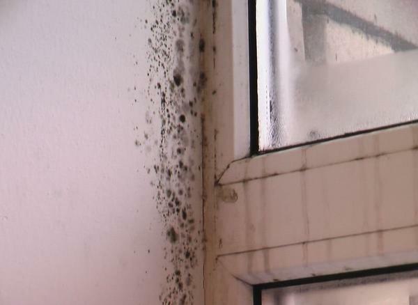 Mold på balkongen kan vises på grunn av dårlig ventilasjon