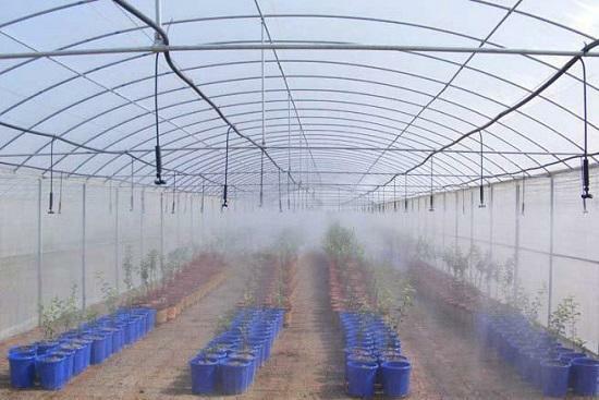Before the installation of the automatic watering system, it is necessary to develop a scheme for planting plants