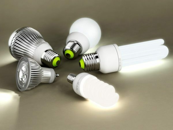 Two varieties of efficient bulbs - LED and compact fluorescent.