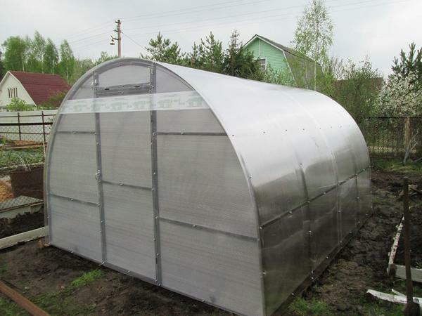 Among the advantages of the polycarbonate greenhouses is worth noting the long service life and wide functionality