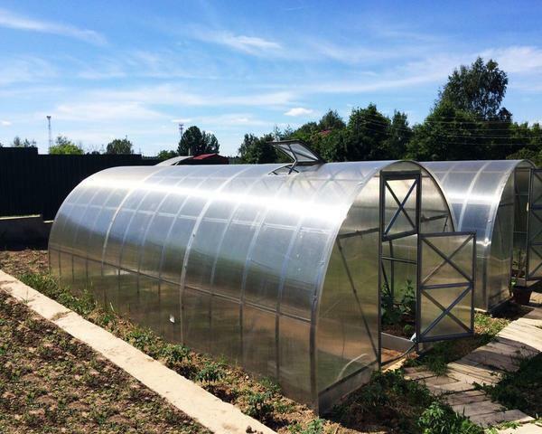 Greenhouses Will: Greenhouse arrow, reviews of the company polycarbonate, Summer ECO, assembly