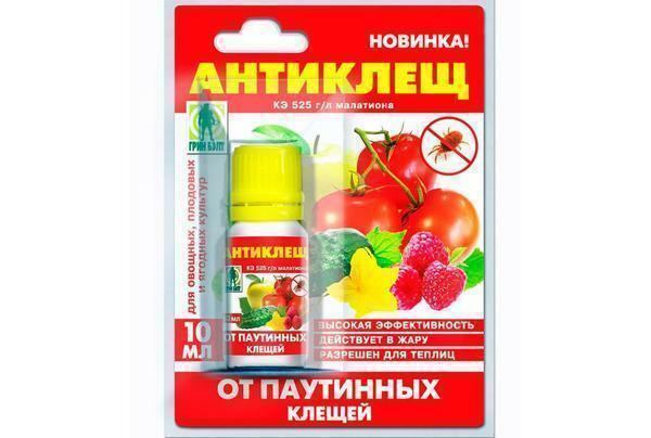 Means for fighting mites can be bought in any store for vegetable growing at an affordable price
