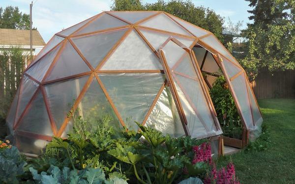 The greenhouse of the film can have different shapes: square, rectangular or round