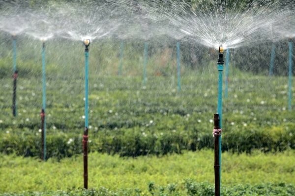 Irrigazione automatica del giardino - sognare ciascun titolare area suburbana