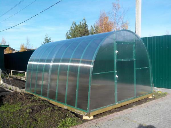 en ny generasjon av drivhus, som er laget av polykarbonat, en perfekt tåler frost