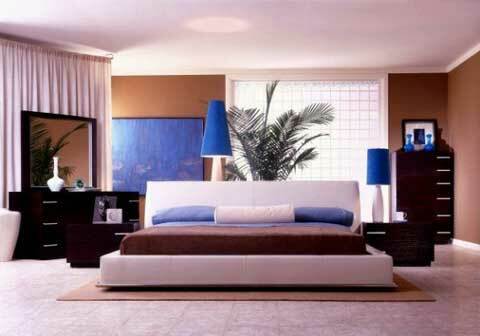 combination living room and bedroom