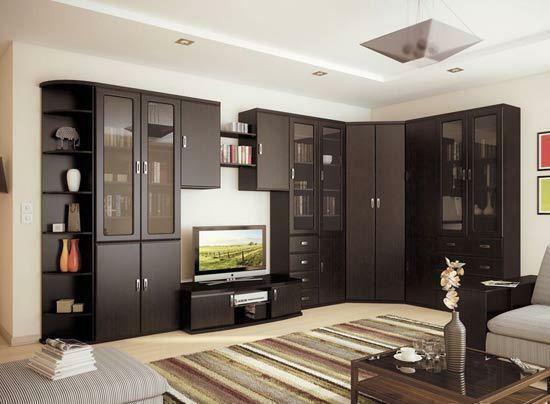 Moderná stena - je krásna a multifunkčný nábytok, ktorý sa dokonale hodí pre obývaciu izbu